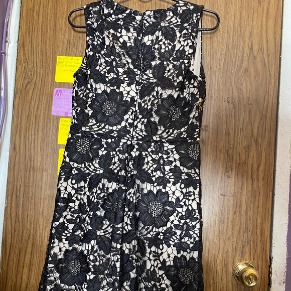 New York & company Black laced dress - Picture 11 of 13